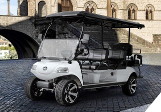 White Evolution Carrier Limo Golf Cart Lithium